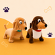 Bundel: Ollie & Moos